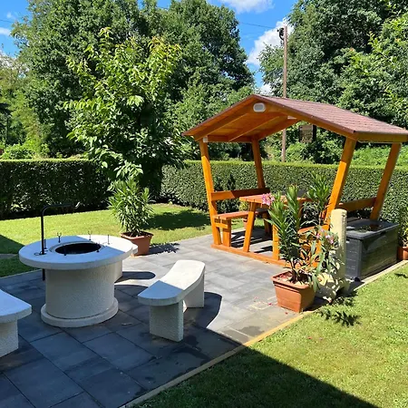 Ollé *